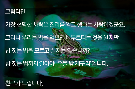 우물밖개구리 이미지