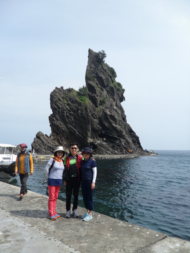 썬풀라워 이미지