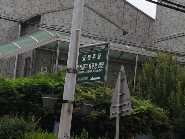 메이저야구연습장 이미지