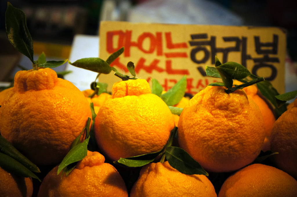 오늘은 제주 이미지