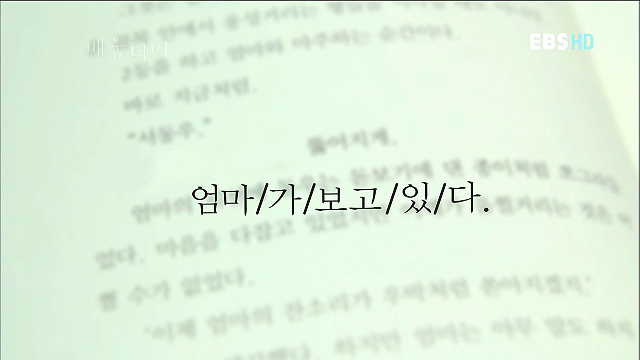 형태소 이미지