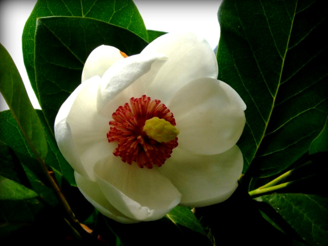 산중농원 이미지