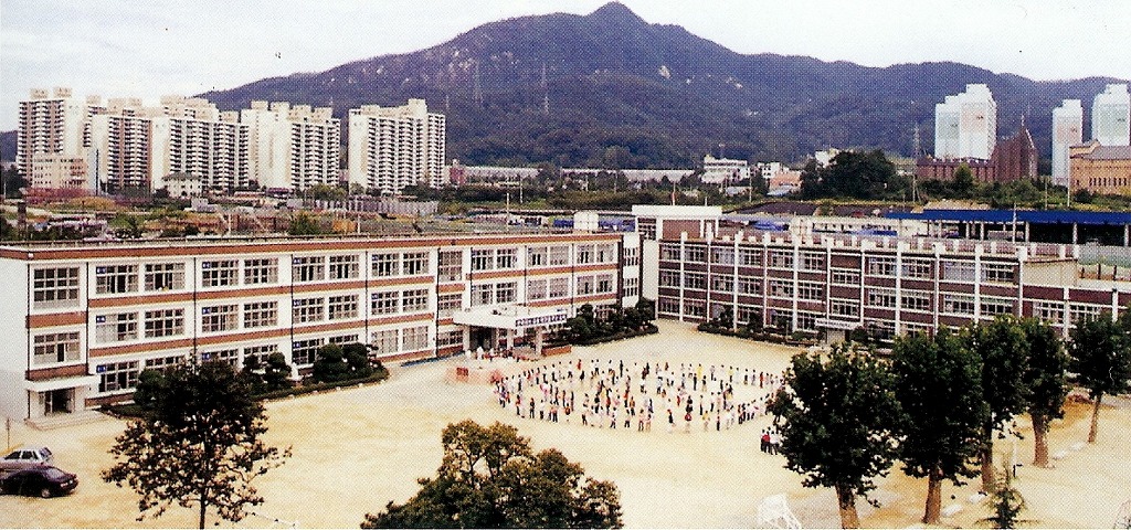 회덕초등학교 이미지