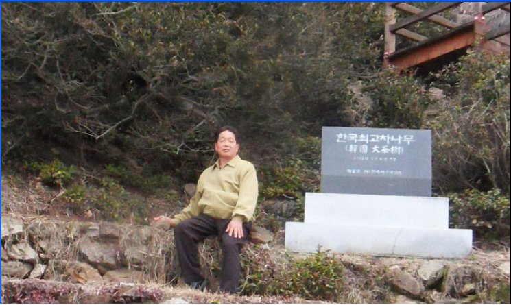 꿀벌사랑 이미지