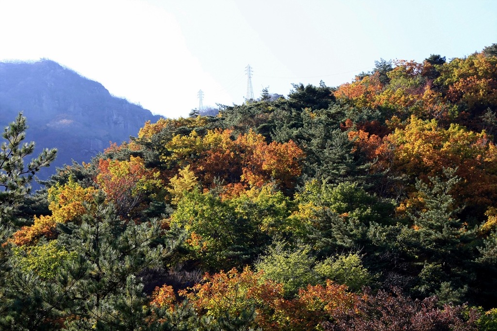 금오산 이미지