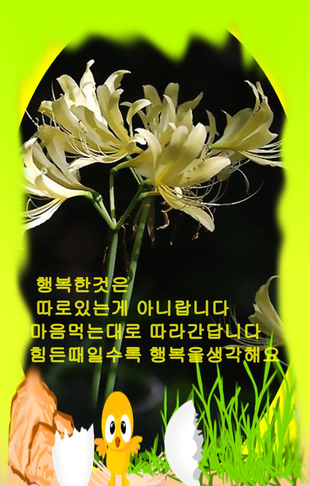 바보오리농장 이미지