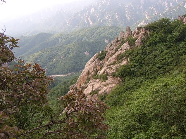 산들약초 이미지