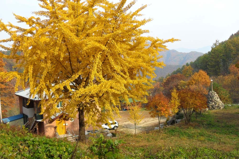 발교산산장 이미지