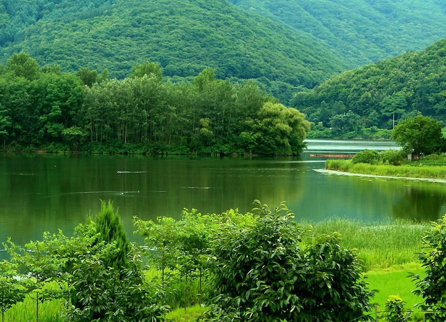 121206364EFC3ADC1C98C9