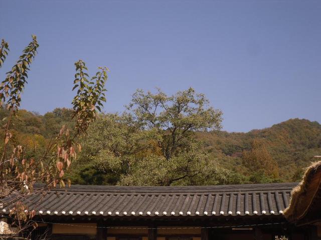 간산고택 이미지