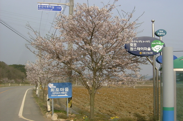 참샘골농장 이미지