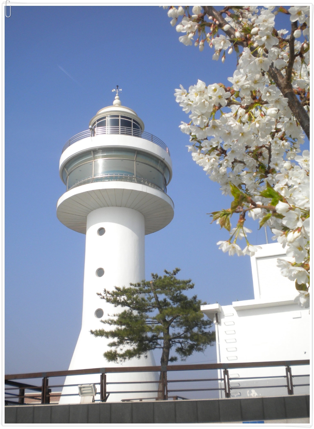 등대민박 이미지