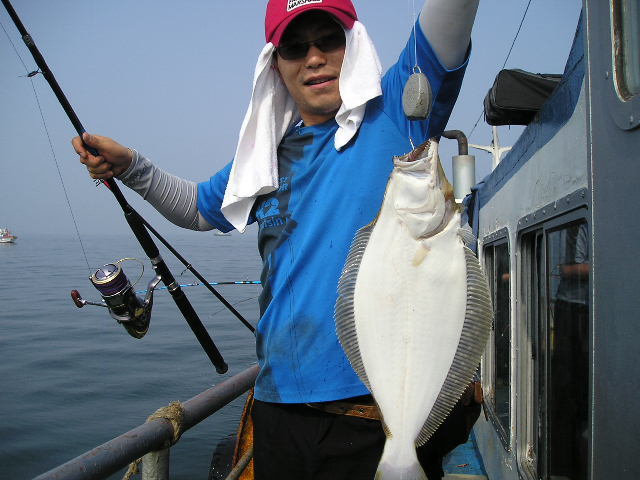 해조호 이미지