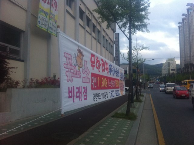 금성스토아 이미지