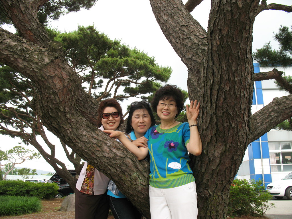 덕산중학교 이미지