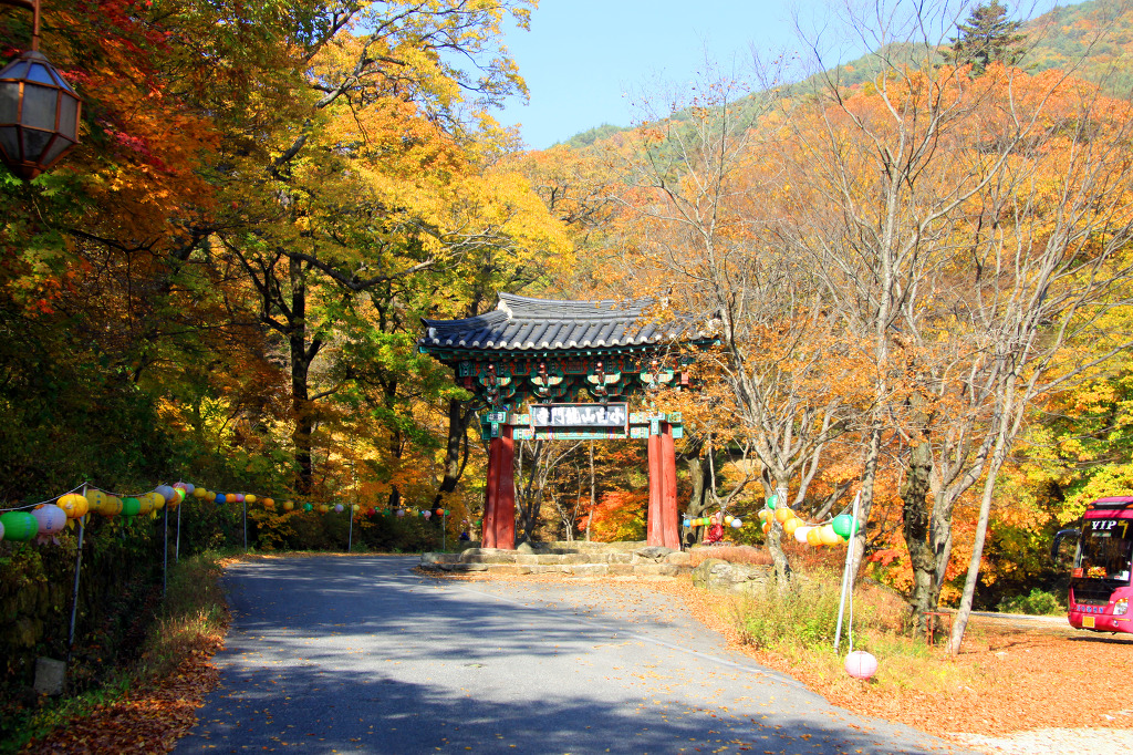 용문사 이미지