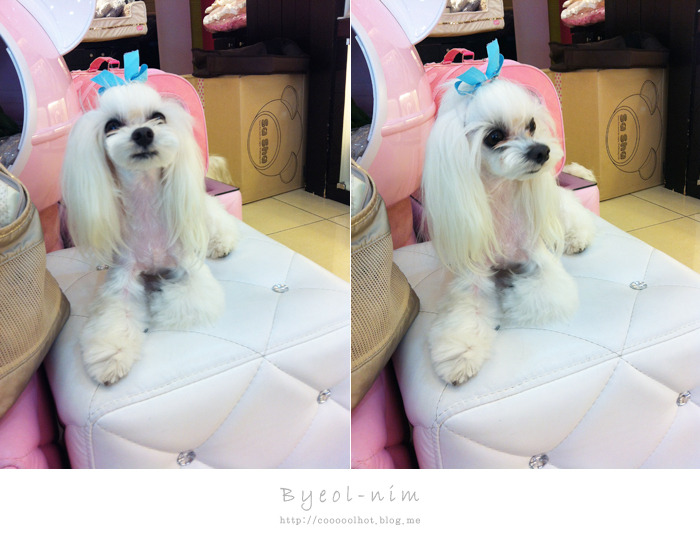 달샘 이미지