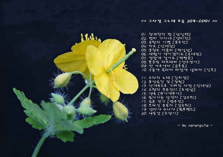 장년을 위한 가요모음
