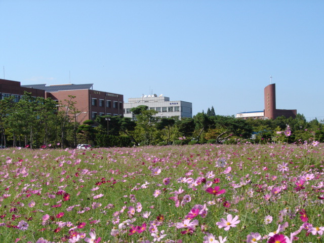 전북대학교 익산캠퍼스 이미지