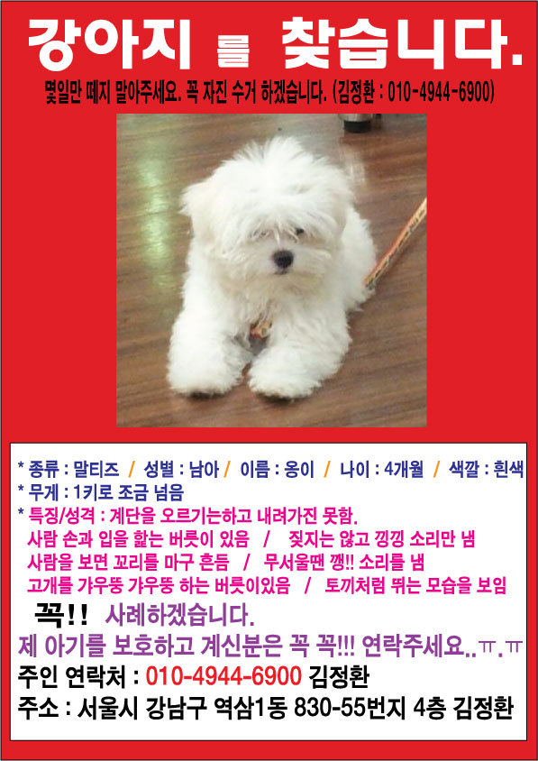 역삼초등학교 이미지
