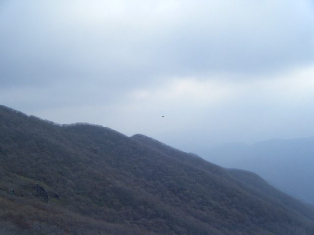 소리고원 이미지