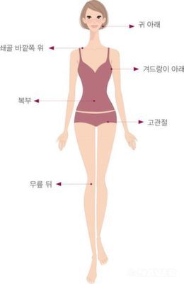 S라인 이미지