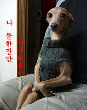 같이 이미지