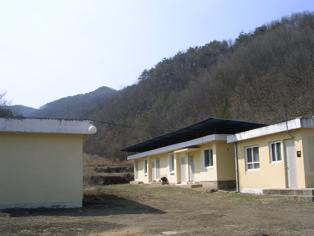 대성초등학교 이미지