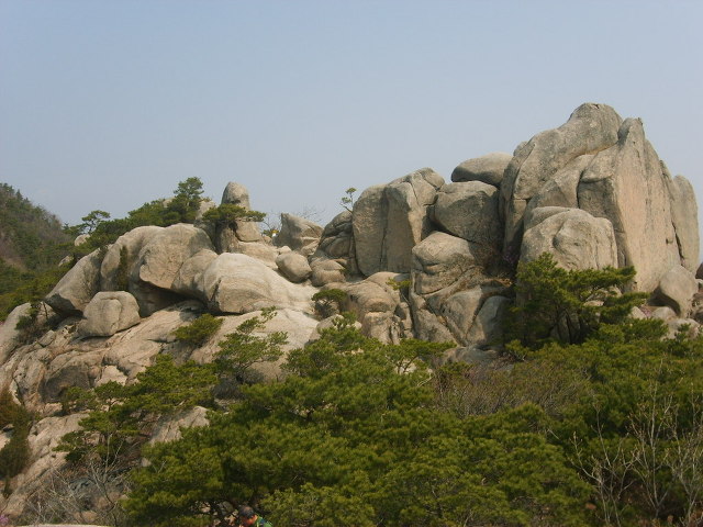 목련주유소 이미지