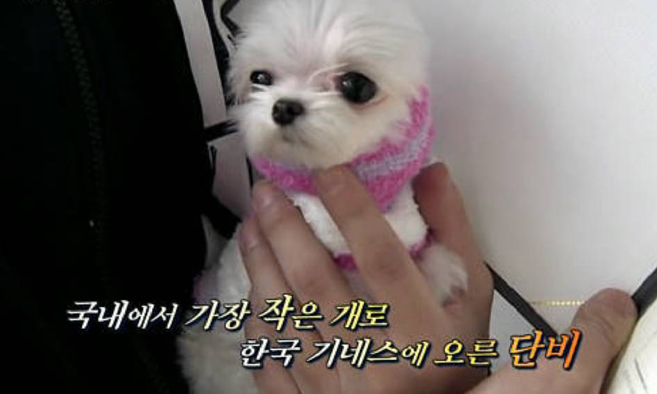 단비 이미지