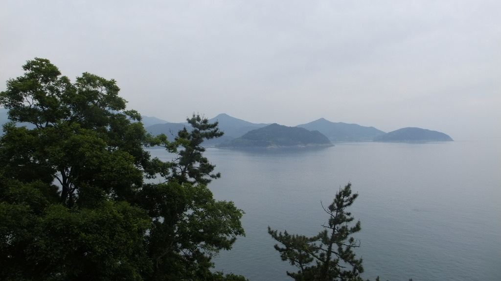 다숲 이미지