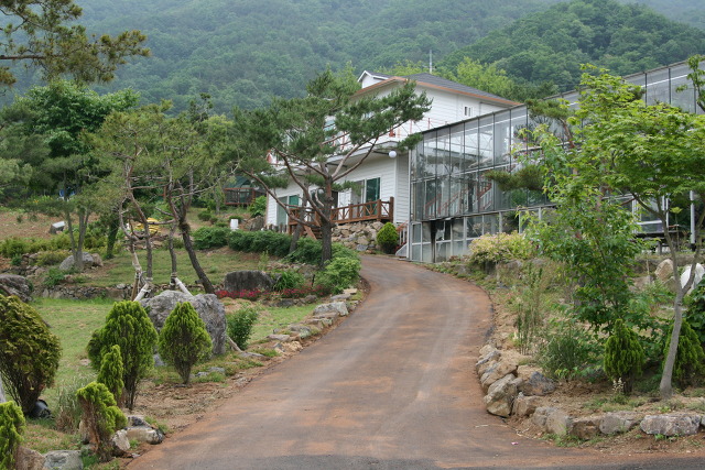 서대산약용자연휴양림 이미지