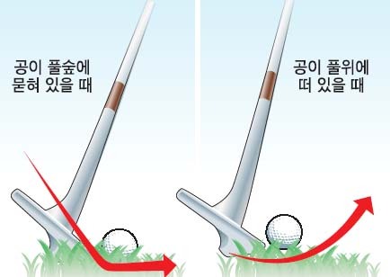 러프 이미지
