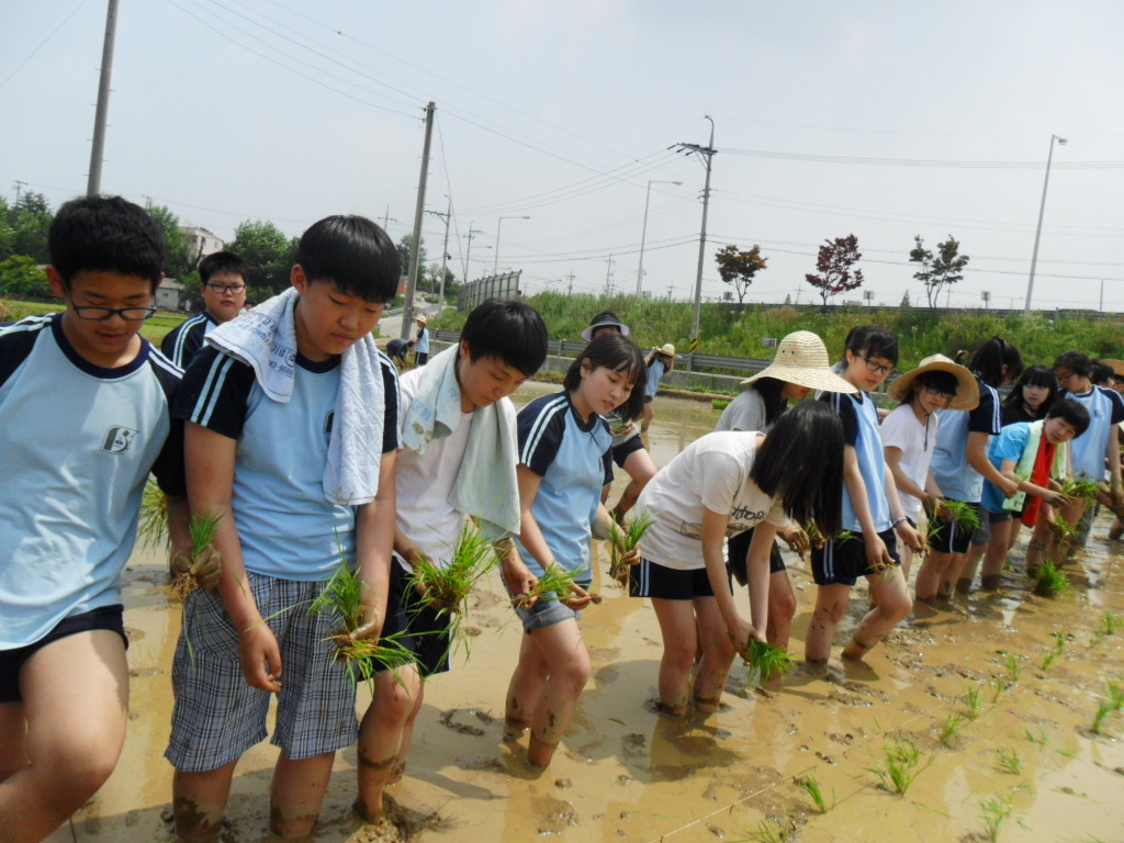 봉서중학교 이미지