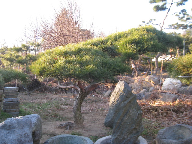 지리산농장 이미지