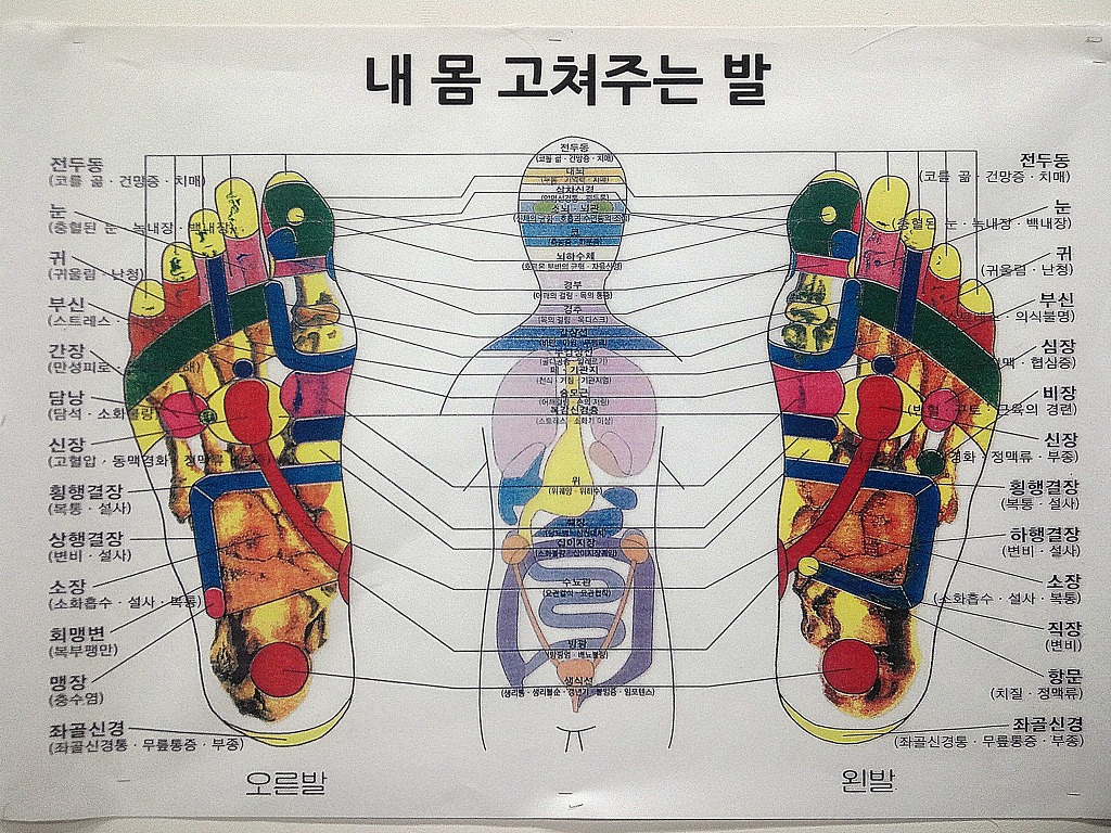 나르지오 이미지