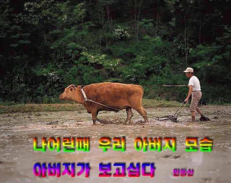 소달구지 이미지