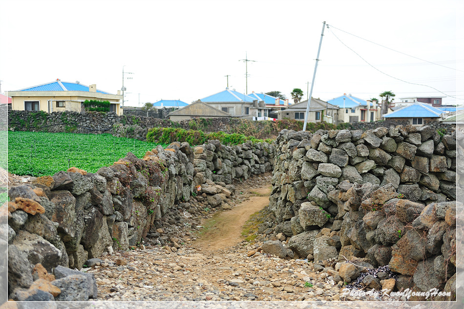 제주돌담 이미지