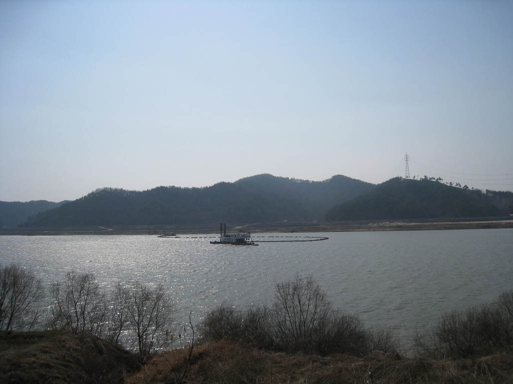 더푸른세상 이미지