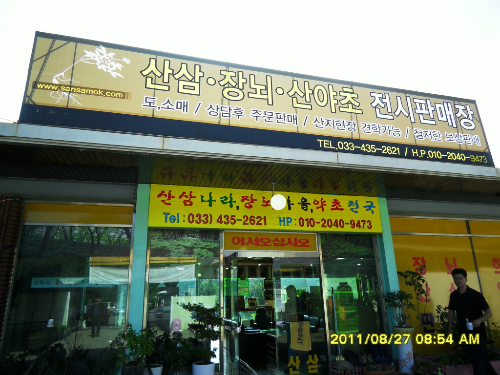 용소원 이미지