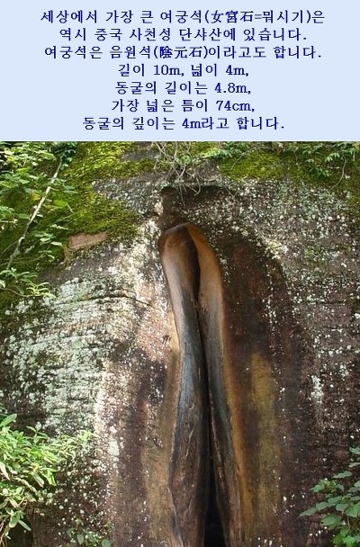 양*석 이미지