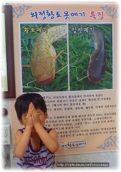 서재메기매운탕 이미지