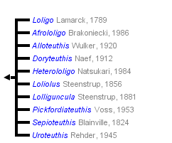 177480514DE206E52FDB36