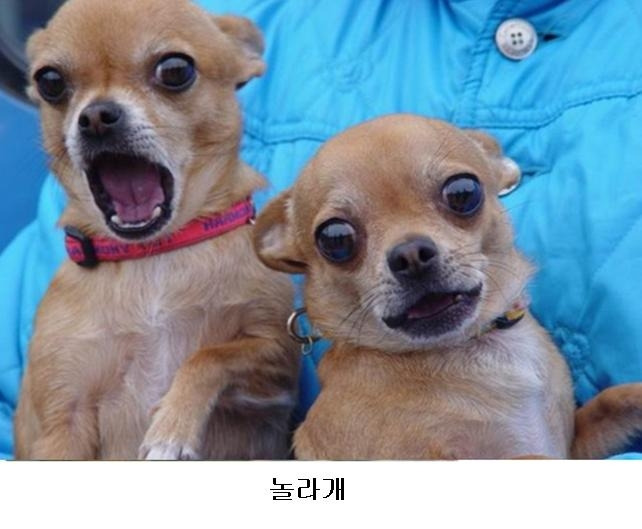 없음 이미지