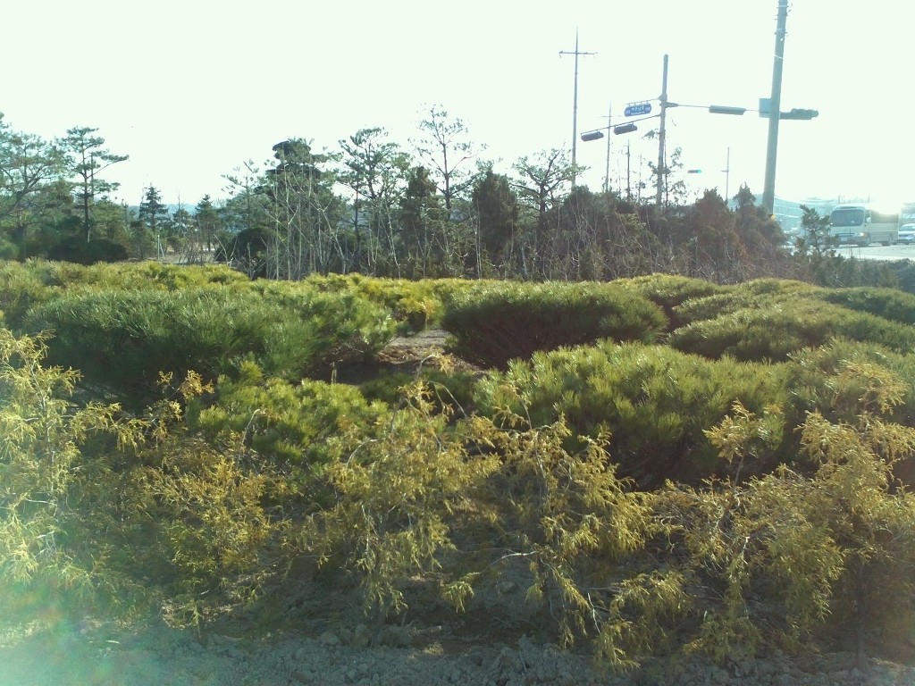 수림조경 이미지