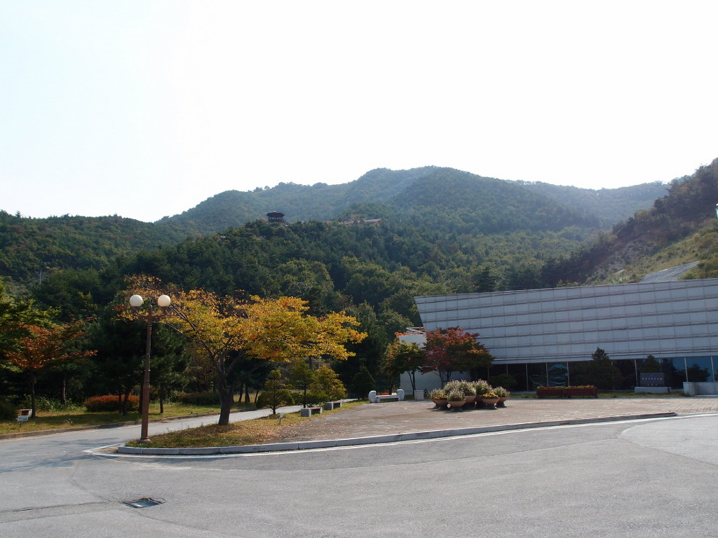 안인진임해자연휴양림 이미지