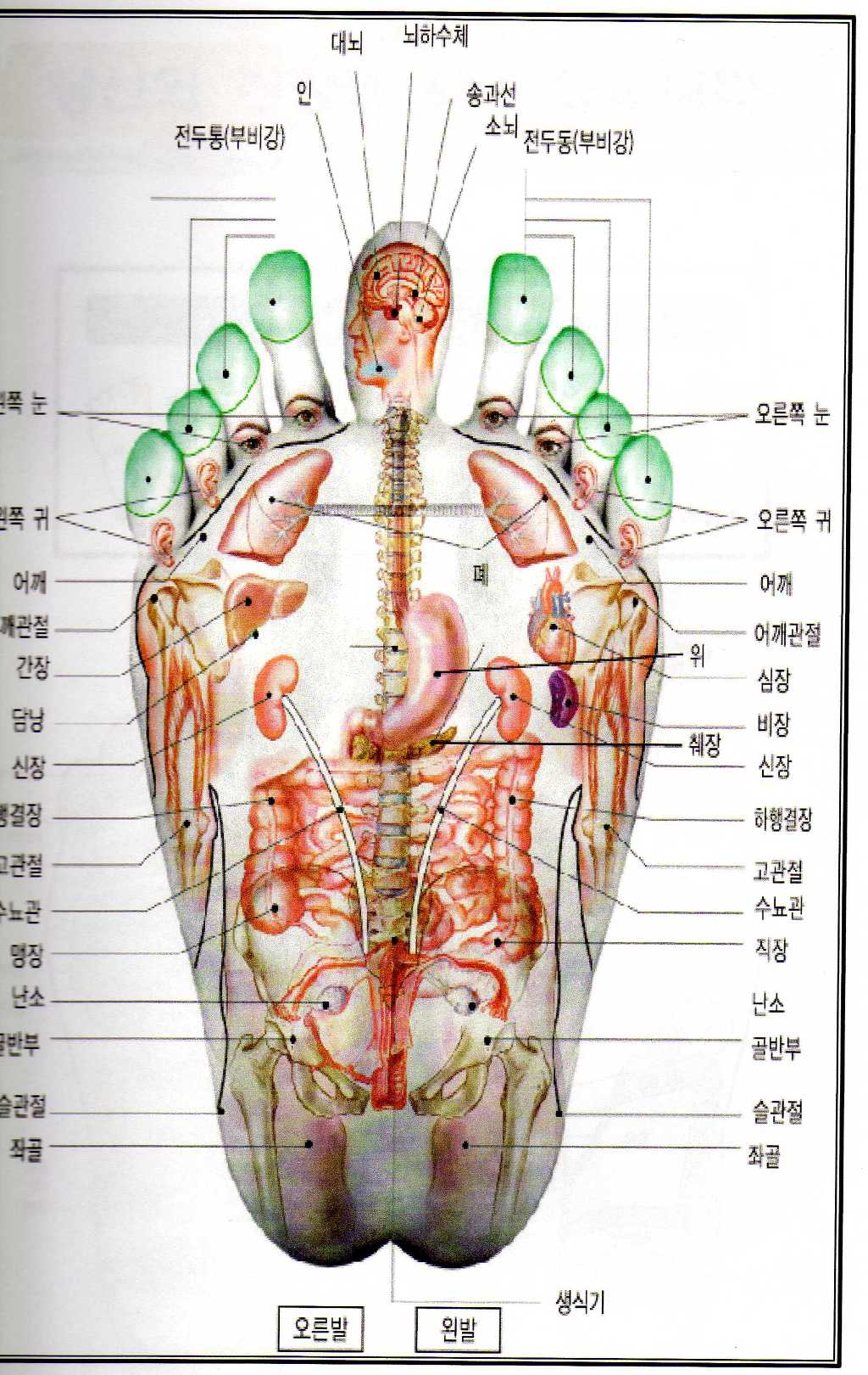 나르자워킹화 이미지