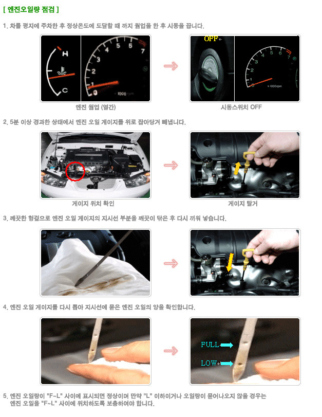 맥시루브 이미지