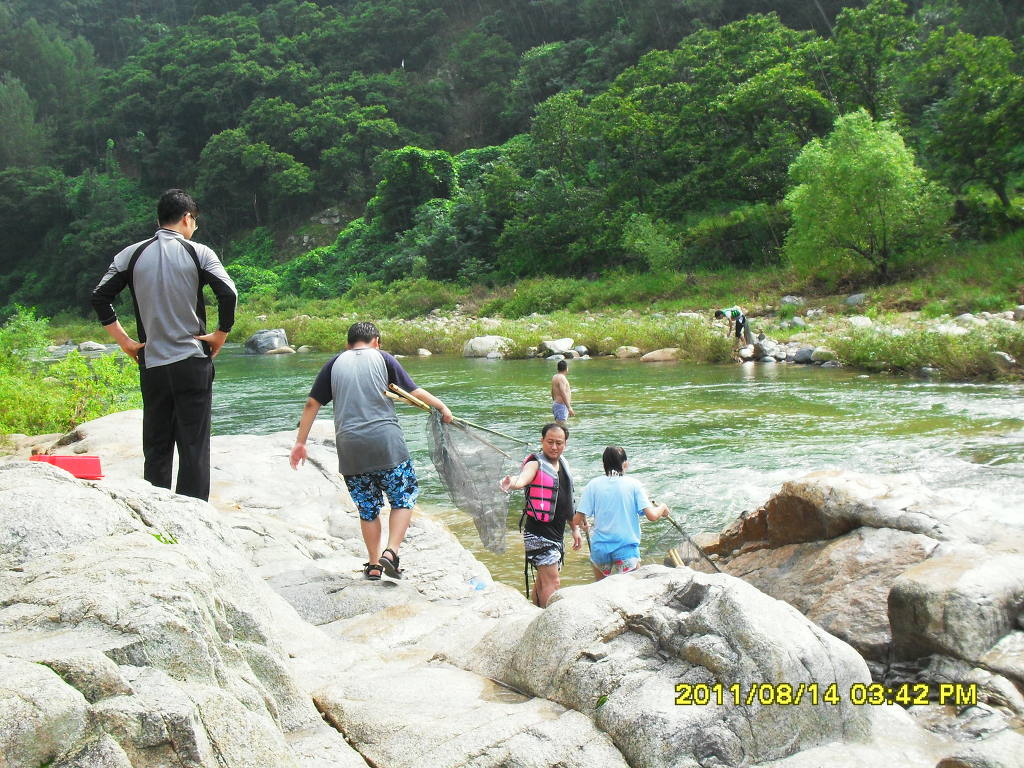 고기밥 이미지