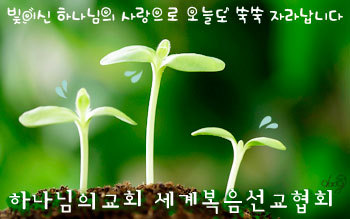 닮은사람들 이미지